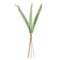 Sword Fern Bundle Artificial Greenery Stem 27 Inch Decor - Set of 3